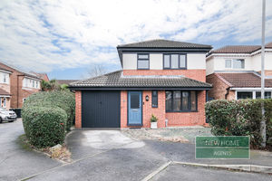 Photo 1- click for photo gallery